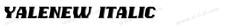 YaleNew Italic字体转换